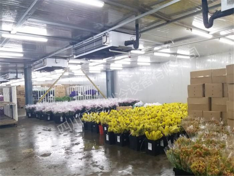 鮮花冷庫